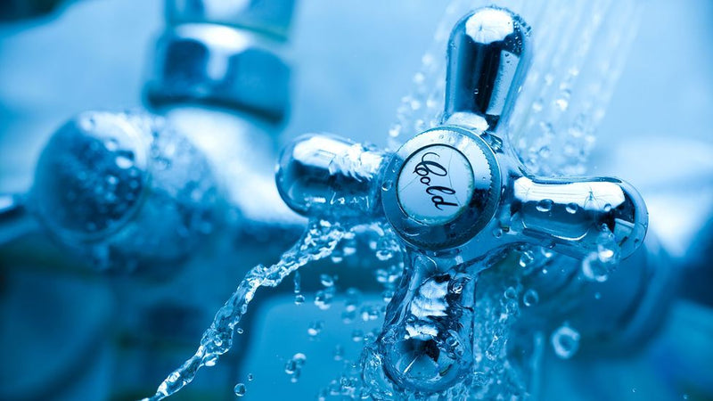 Cold Showers and Plunges: Why Turn Off the Heat