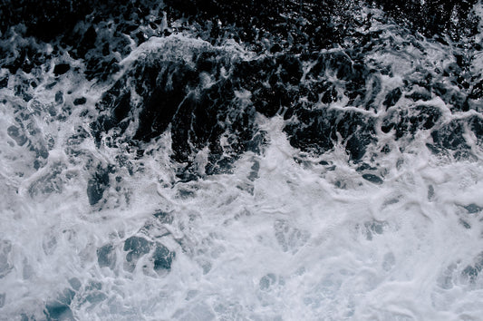 Why Every Athlete Needs Omega 3s